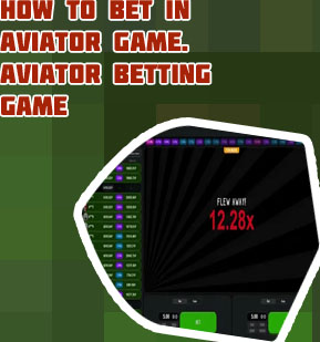 11 winner aviator game